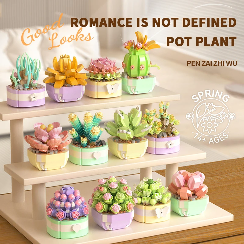 Flower Succulents Building Blo – Echeveria Succulent recenzja i cena