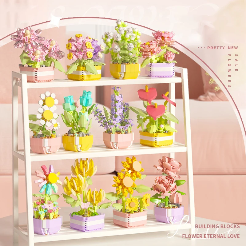 Flower Succulents Building Blo – Echeveria Succulent recenzja i cena