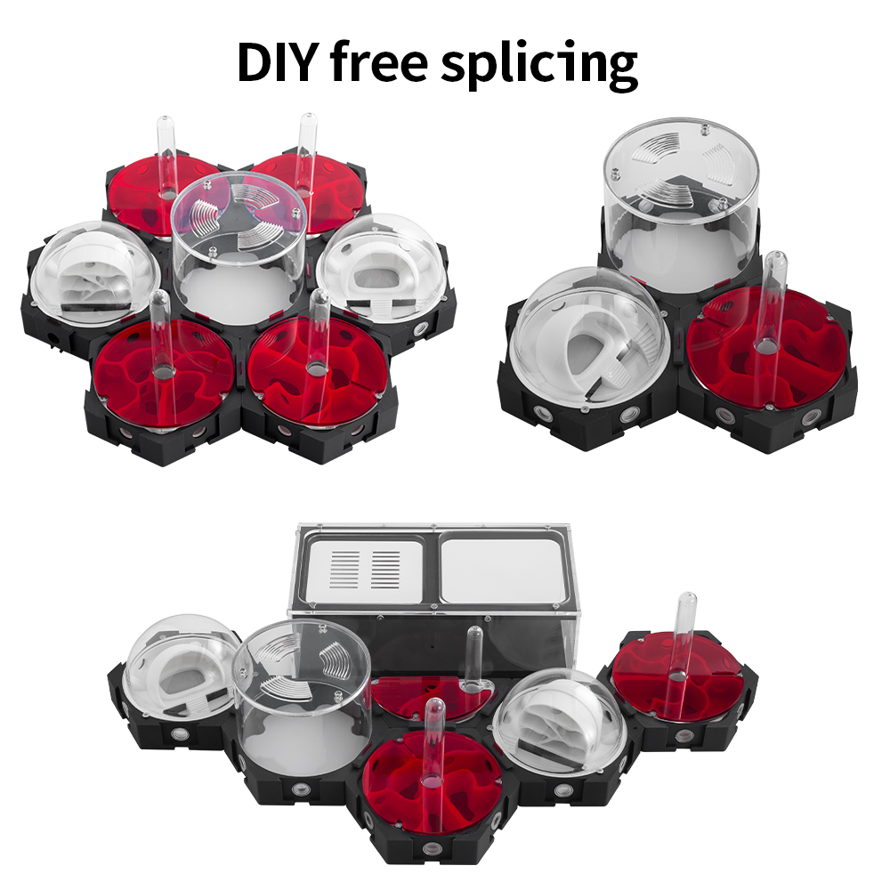 3D Printing Ant Farm Infinitel – Begonia Rex recenzja i cena
