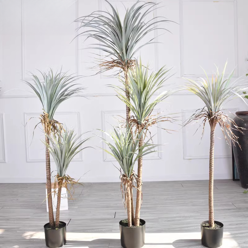 Dragon Blood Yucca Artificial  – Dracaena Marginata recenzja i cena