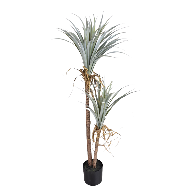 Dragon Blood Yucca Artificial  – Dracaena Marginata recenzja i cena