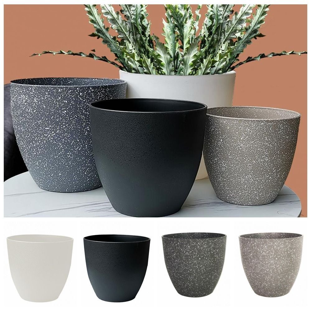Frosted Imitation Stone Flower – Aloe Vera Pot recenzja i cena