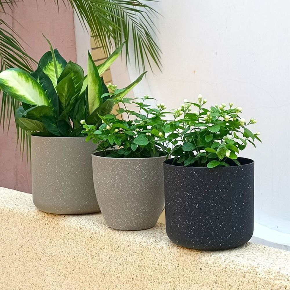 Frosted Imitation Stone Flower – Aloe Vera Pot recenzja i cena