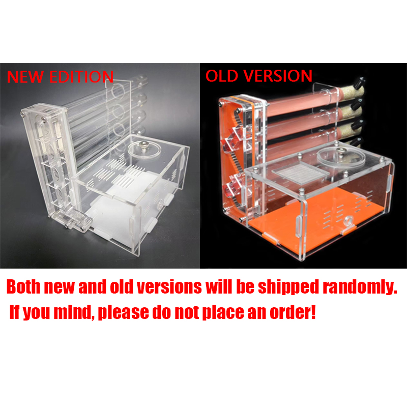 DIY Acrylic Ant Farm 5 pcs 18- – Begonia Rex recenzja i cena