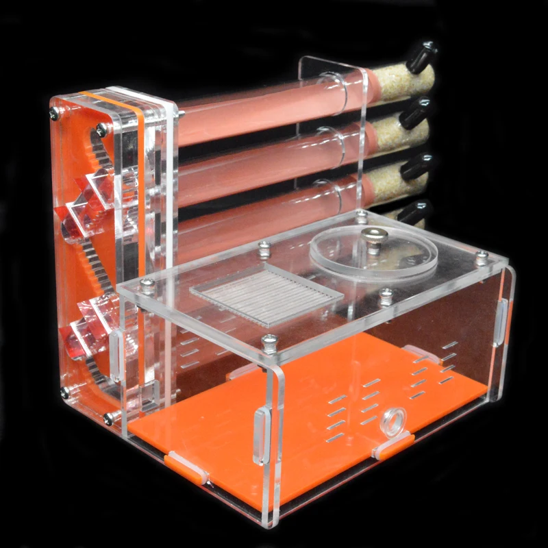 DIY Acrylic Ant Farm 5 pcs 18- – Begonia Rex recenzja i cena