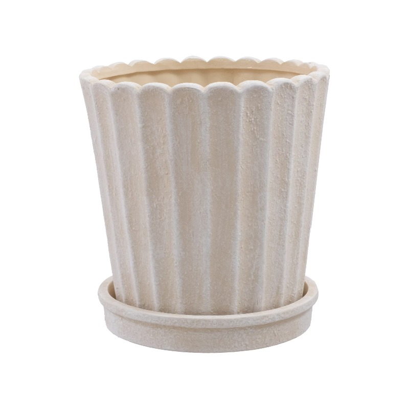 8 Inch Shell Planter Cream Cer – Aloe Vera Pot recenzja i cena
