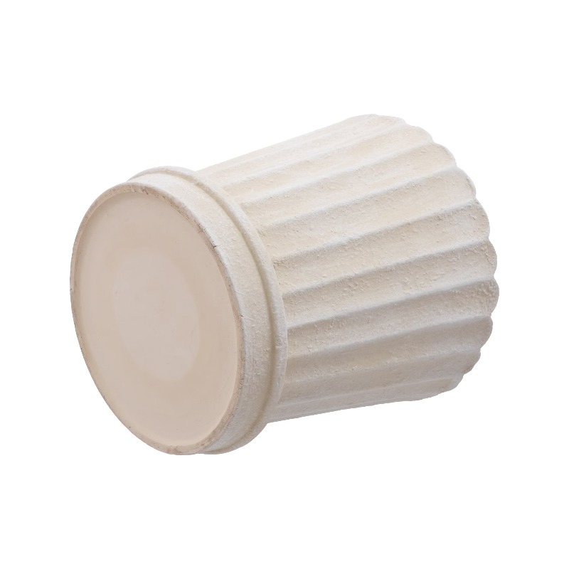 8 Inch Shell Planter Cream Cer – Aloe Vera Pot recenzja i cena