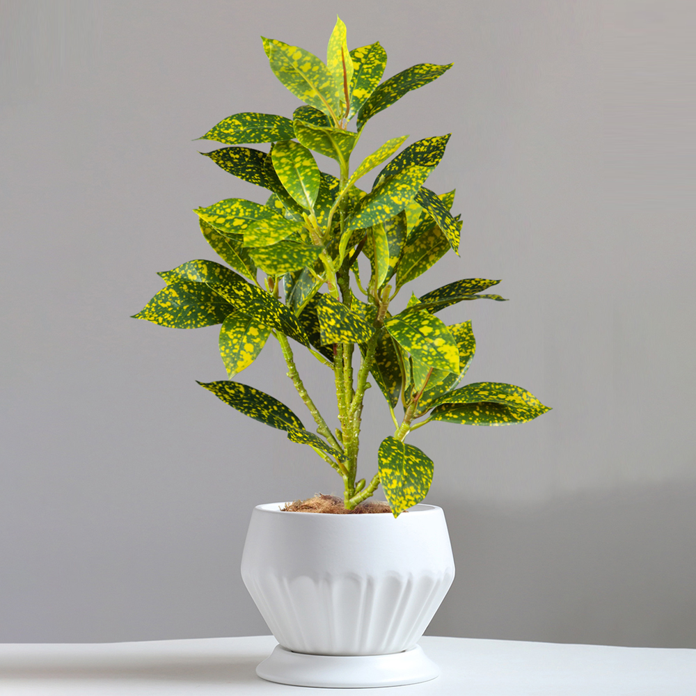 24-41cm Artificial Ficus Tree  – Ficus Lyrata Tree recenzja i cena