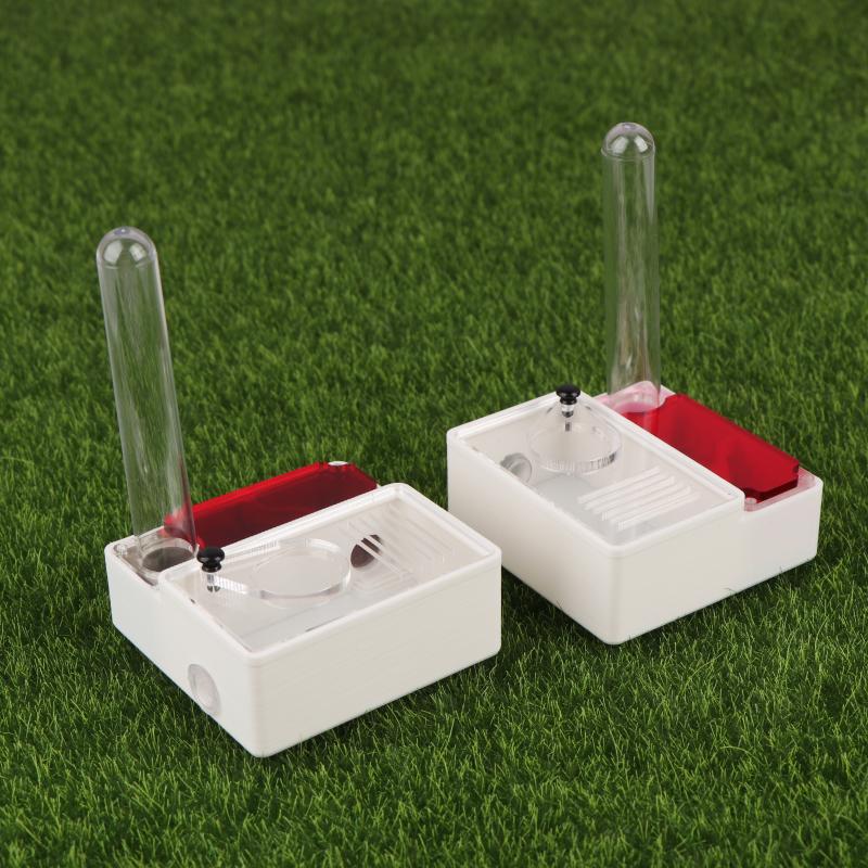 【Peace】3D Printed Ant Farm Que – Begonia Rex recenzja i cena