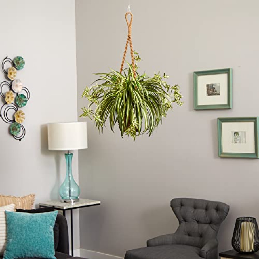Spider Plant Hanging Basket fo – Spider Plant Hanging recenzja i cena