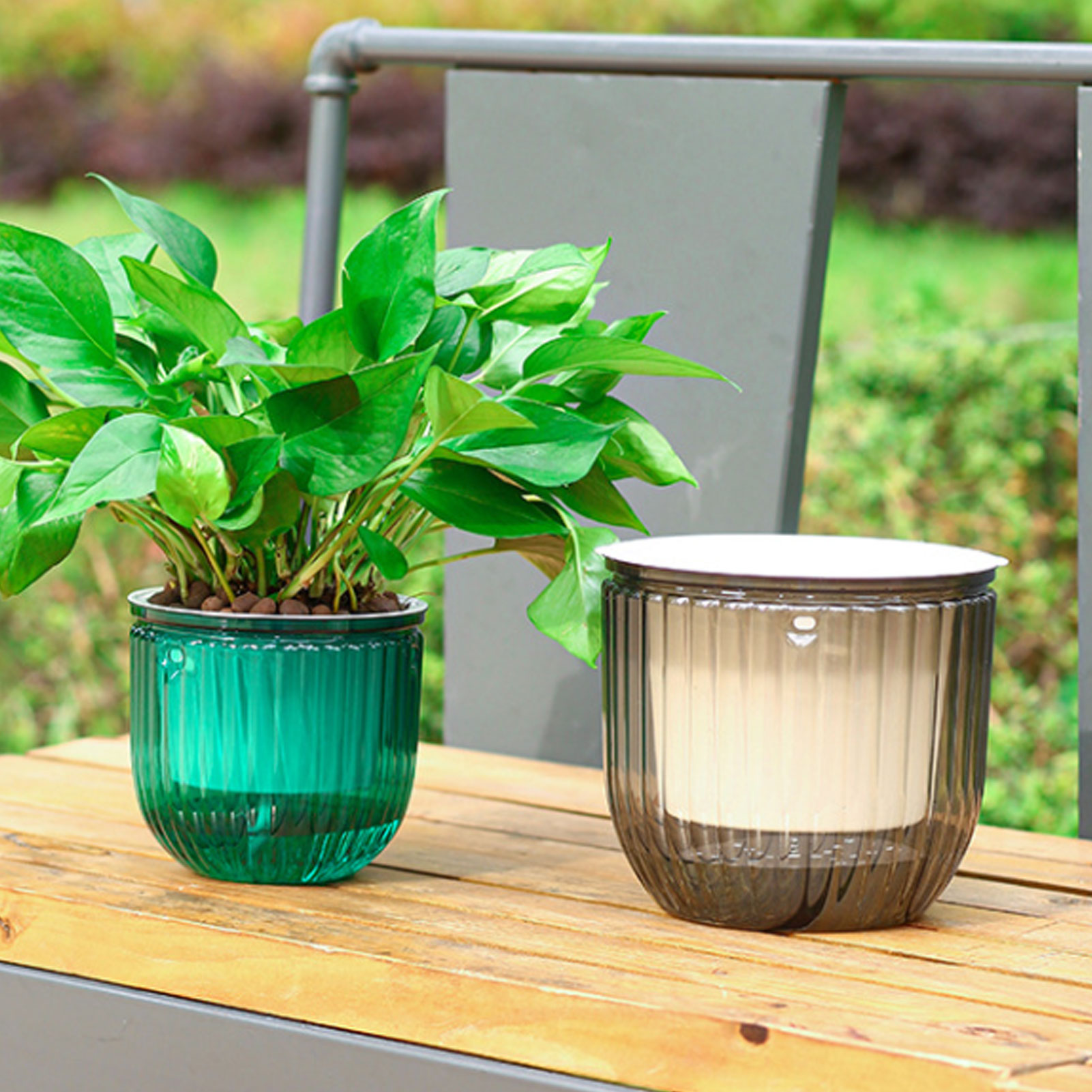Automatic Self Watering Plant  – Spider Plant Hanging recenzja i cena