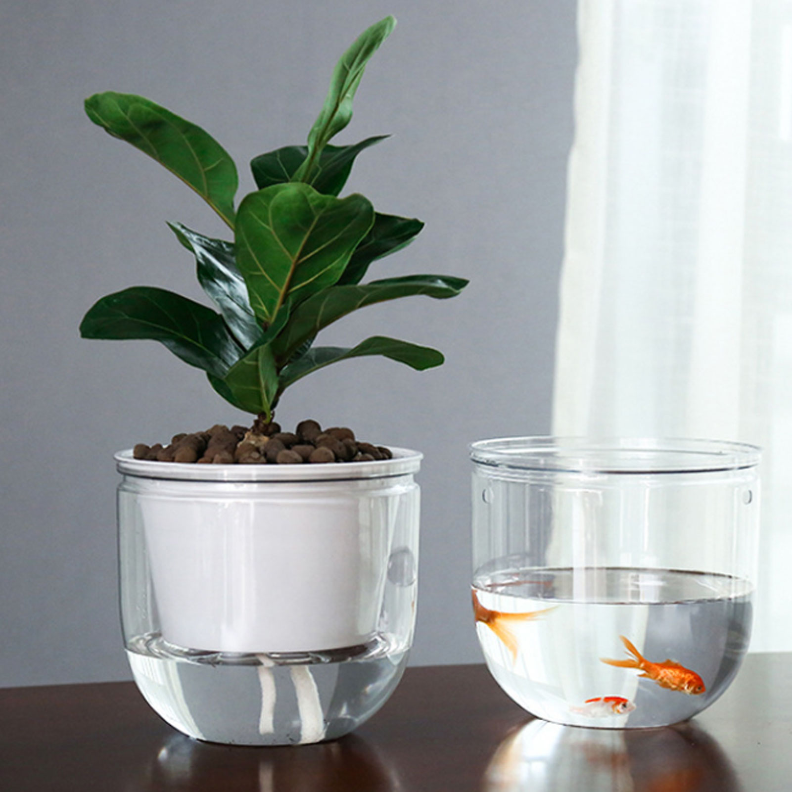 Automatic Self Watering Plant  – Spider Plant Hanging recenzja i cena