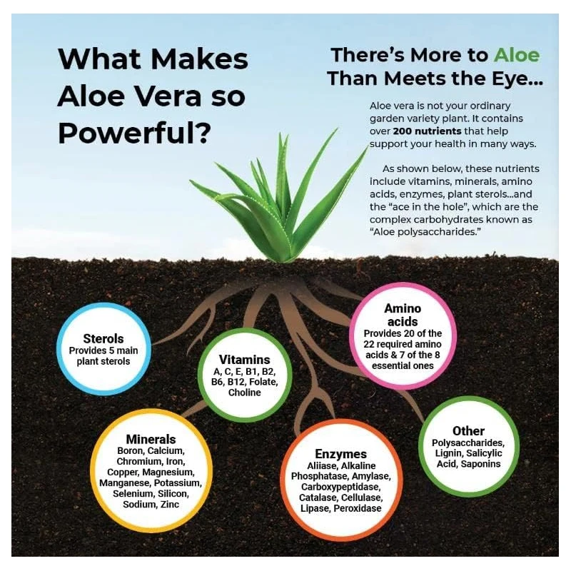 Aloe Vera Capsules - Help Prom – Aloe Vera Pot recenzja i cena
