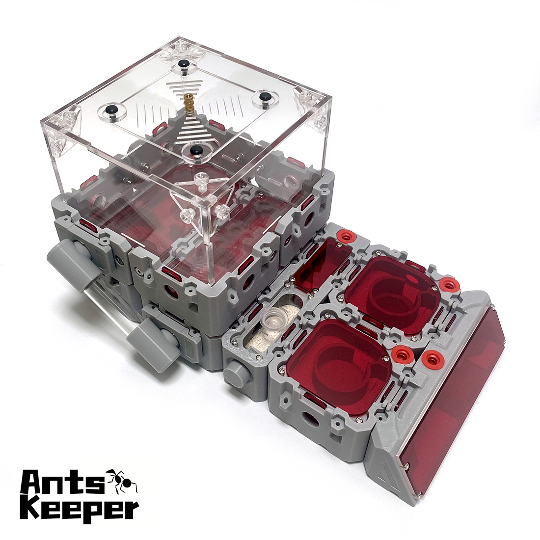 【Lego】Expandable Modular Formi – Begonia Rex recenzja i cena