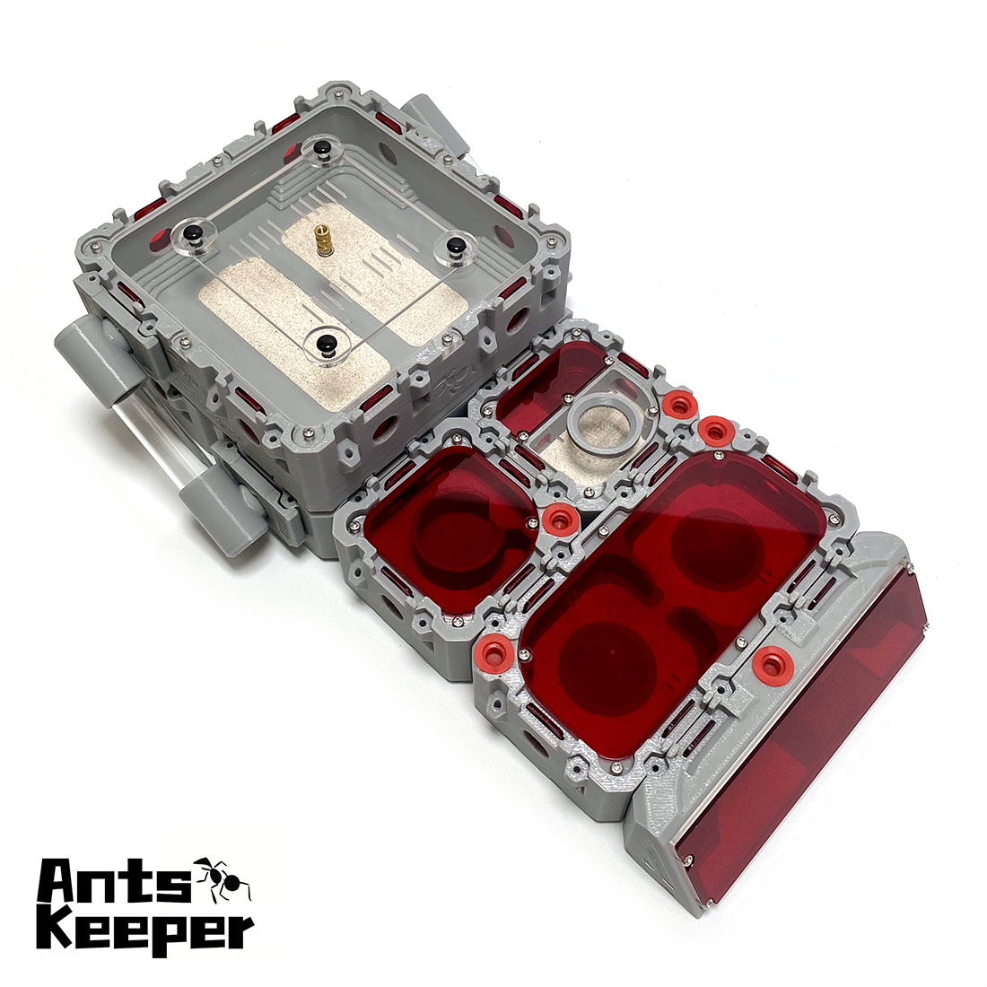 【Lego】Expandable Modular Formi – Begonia Rex recenzja i cena