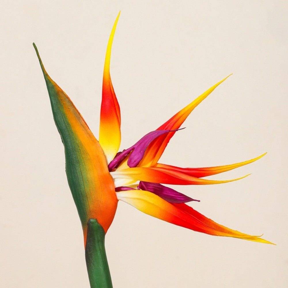 New Long Stem Artificial Bird  – Bird Paradise Strelitzia recenzja i cena