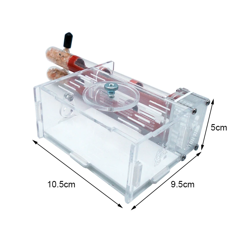 DIY Ant Farm 2 pcs 18-180mm Gy – Begonia Rex recenzja i cena