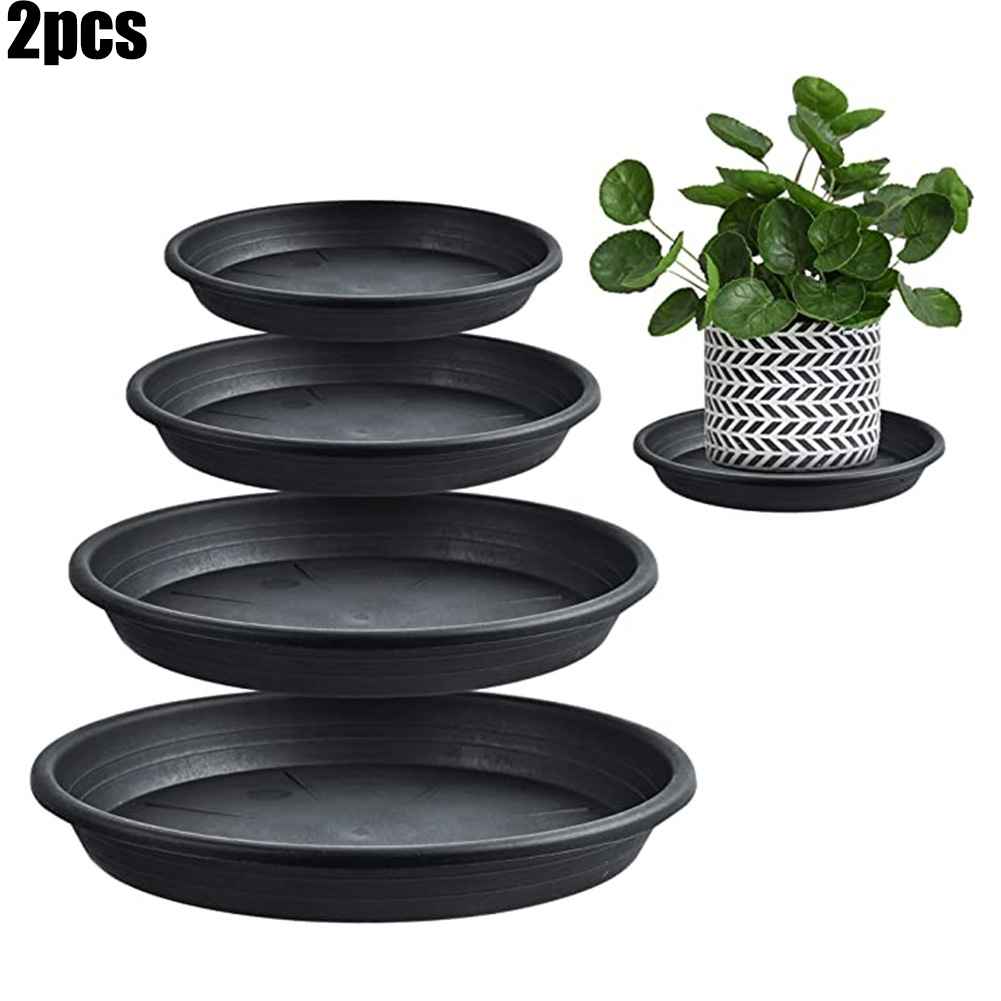 2pcs Plant Trays Round Succule – Echeveria Succulent recenzja i cena