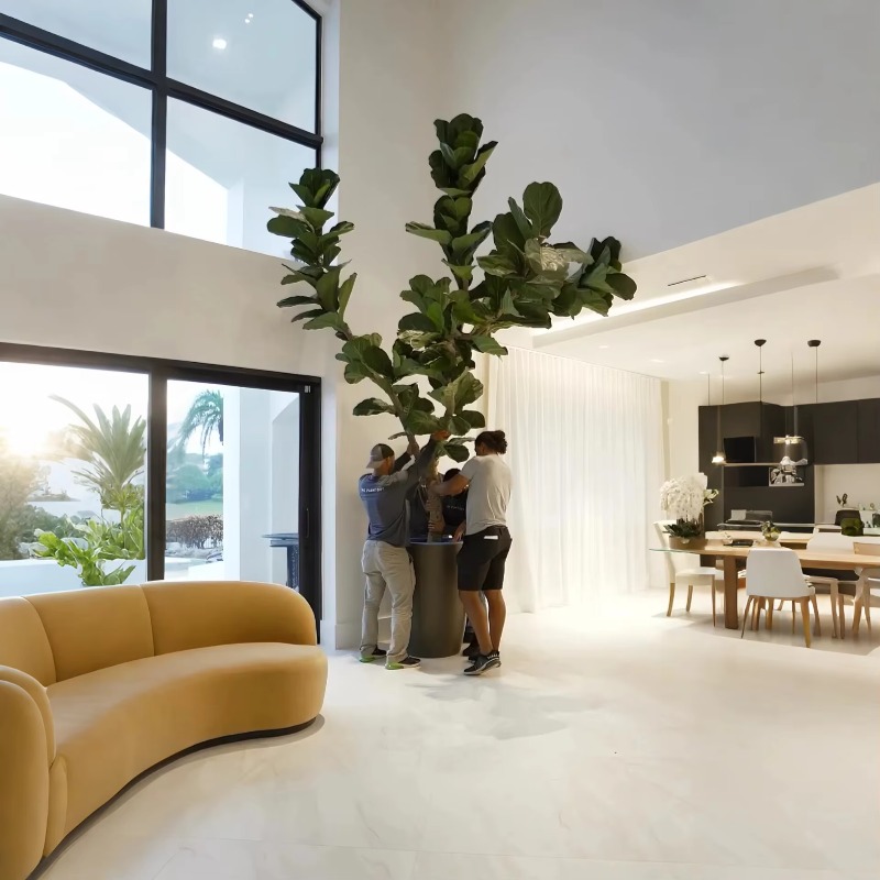 Artificial Plants Indoor Potte – Ficus Lyrata Tree recenzja i cena