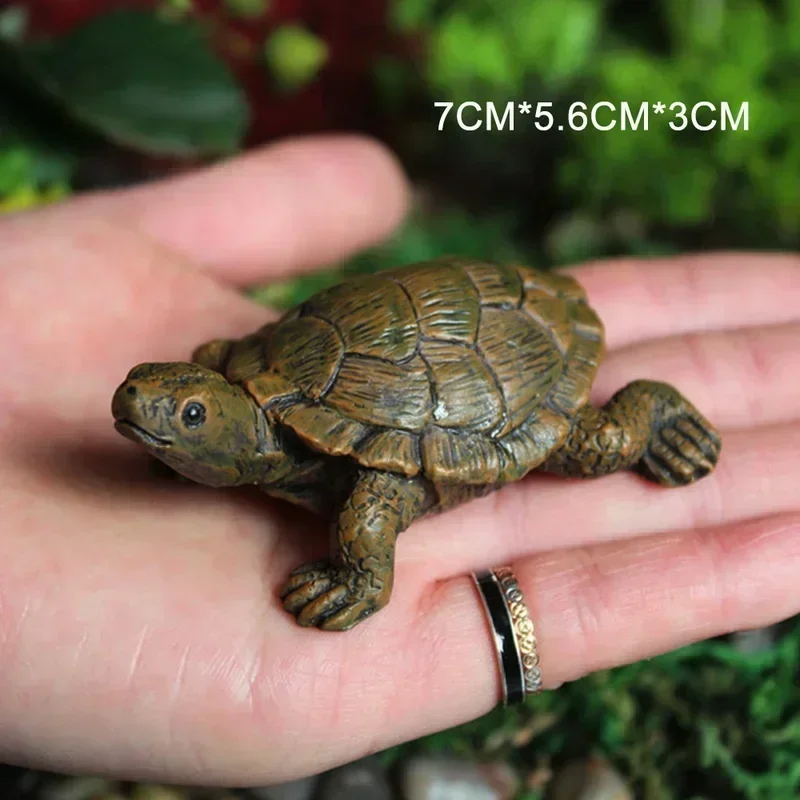 Simulation of Small Turtle Res – Echeveria Succulent recenzja i cena