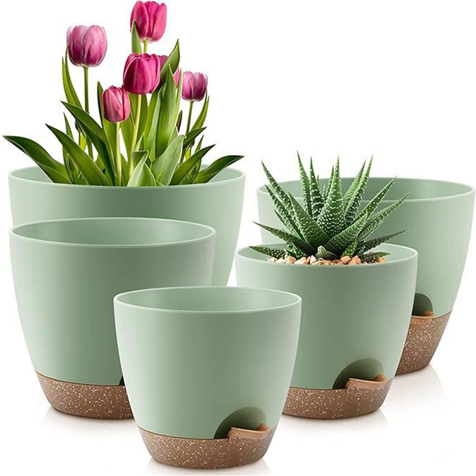 5piece Indoor Flower Pots With – Aloe Vera Pot recenzja i cena