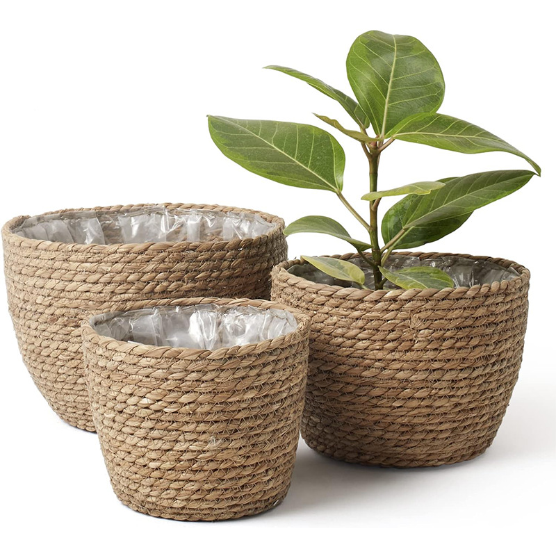 Natural Woven Flower Basket St – Aloe Vera Pot recenzja i cena