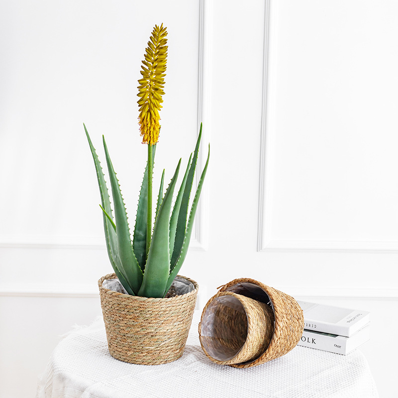 Natural Woven Flower Basket St – Aloe Vera Pot recenzja i cena
