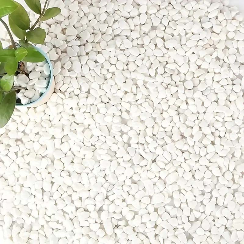 White Pebbles Decorative Stone – Echeveria Succulent recenzja i cena