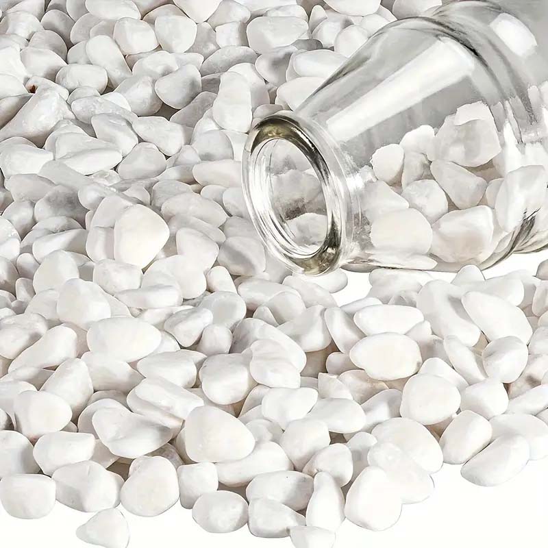 White Pebbles Decorative Stone – Echeveria Succulent recenzja i cena