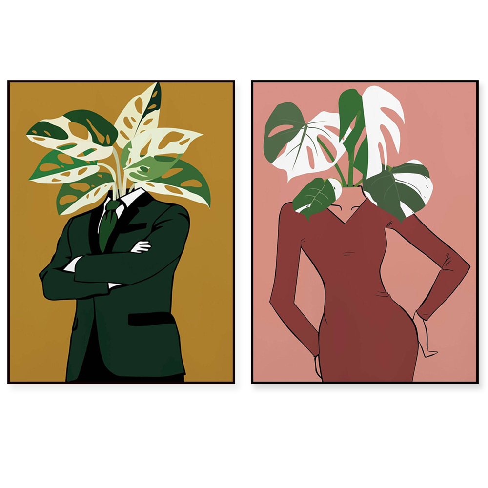 Monstera Albo in a burgundy dr – Monstera Adansonii recenzja i cena