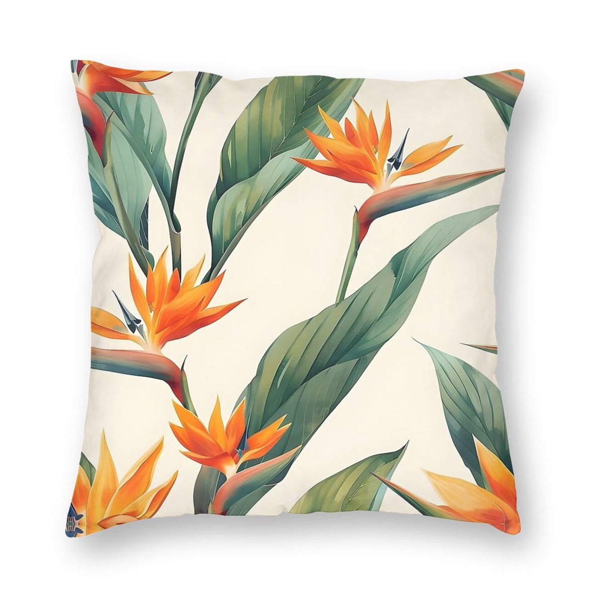 Bird Of Paradise Strelitzia Sq – Bird Paradise Strelitzia recenzja i cena