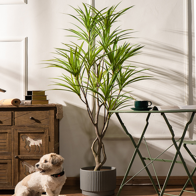 90-180cm Large Artificial Tree – Dracaena Marginata recenzja i cena
