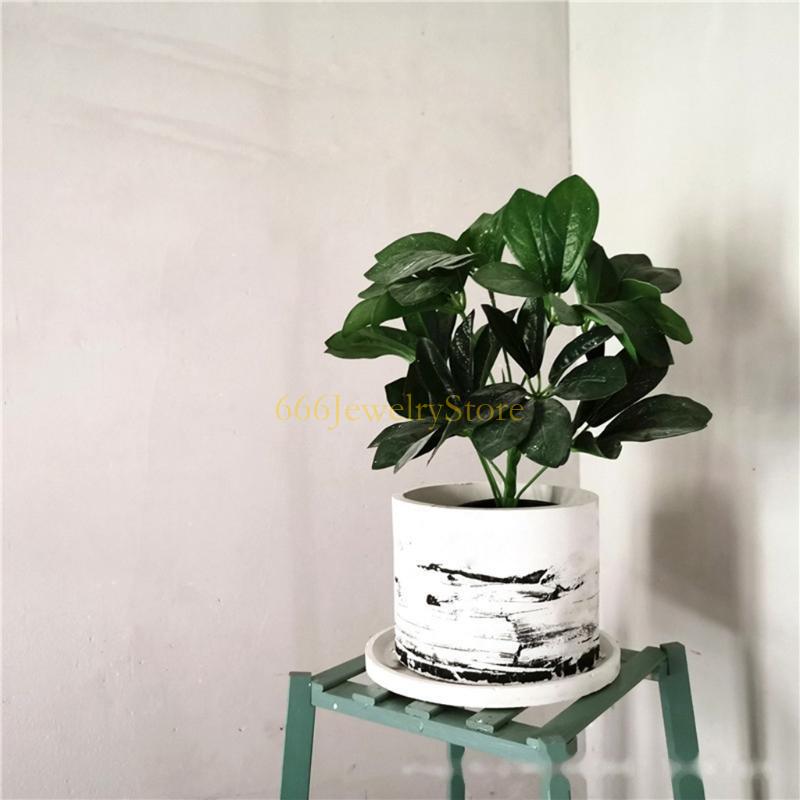F2TD Large Round Concrete Flow – Echeveria Succulent recenzja i cena