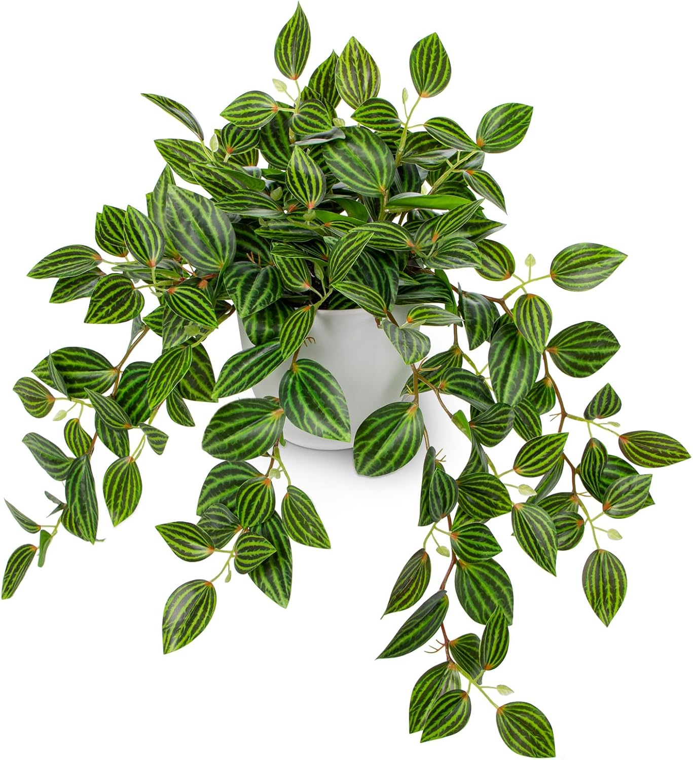 Artificial Plants Indoor Fake  – Peperomia Watermelon recenzja i cena
