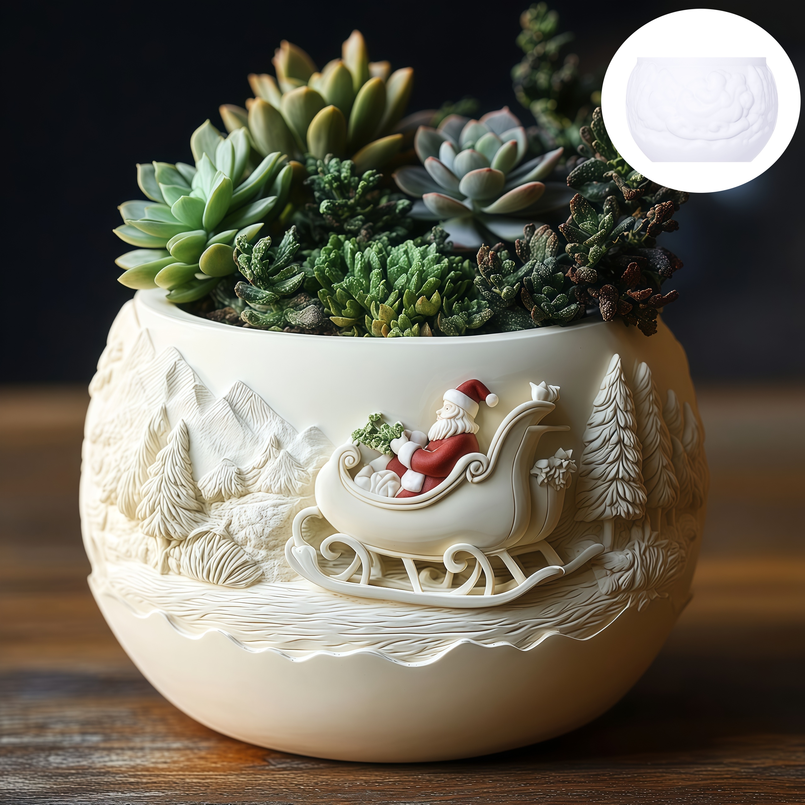 Cedar Sled Santa Claus Relief  – Echeveria Succulent recenzja i cena