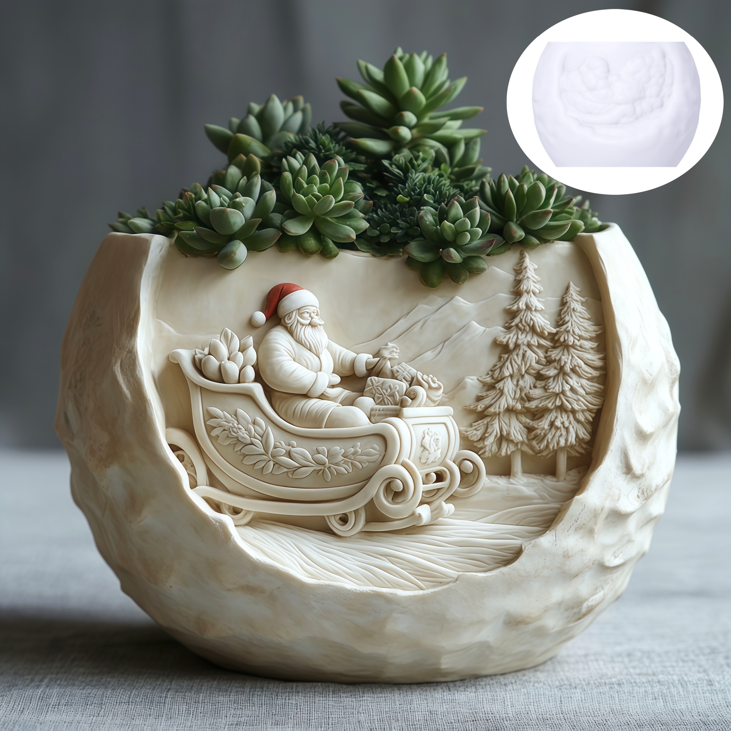 Cedar Sled Santa Claus Relief  – Echeveria Succulent recenzja i cena