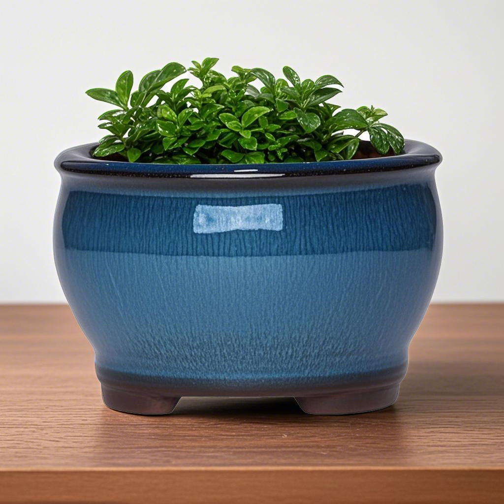 Ceramic Garden Planter Pots Ce – Aloe Vera Pot recenzja i cena
