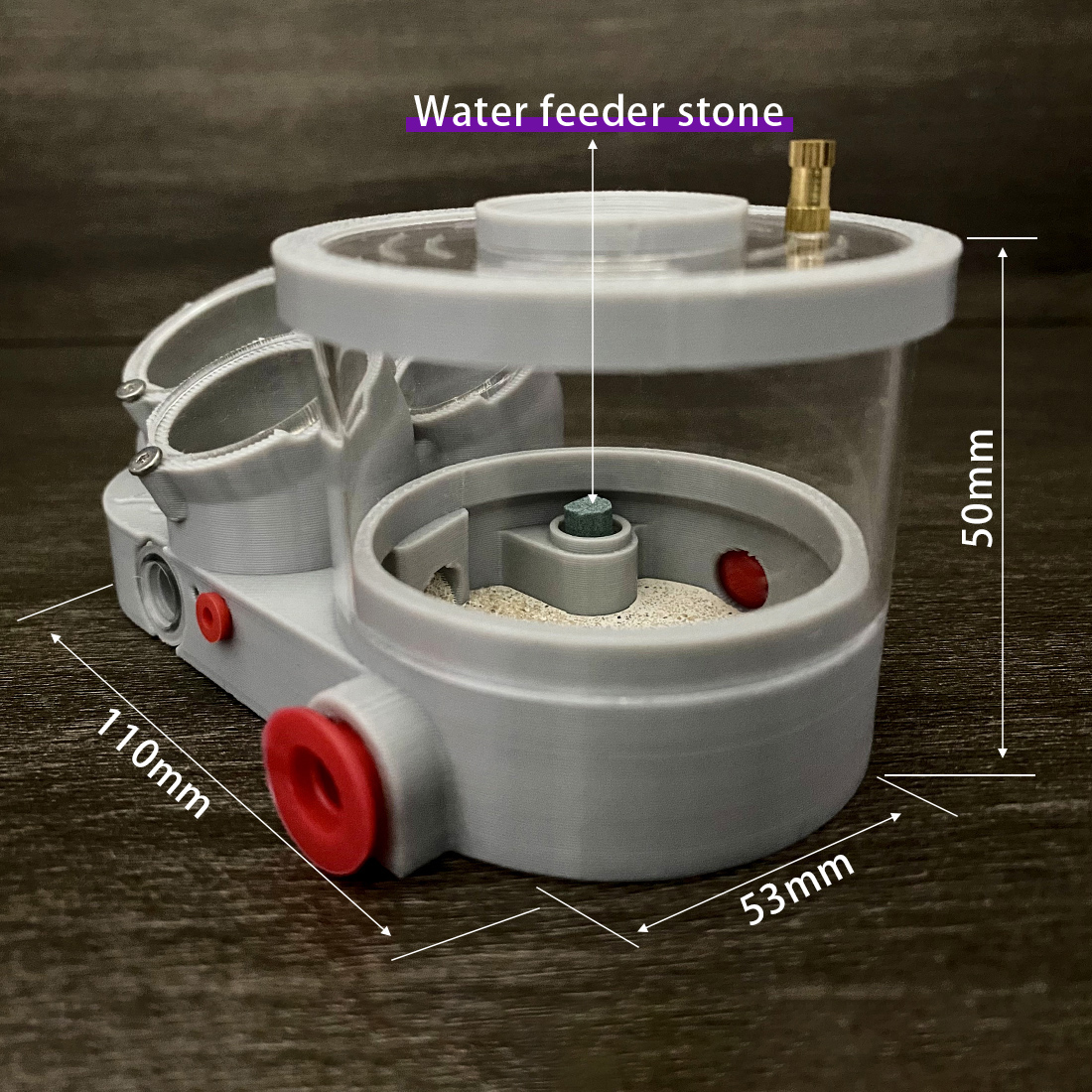 【Three Body】Ant Farm with Wate – Begonia Rex recenzja i cena