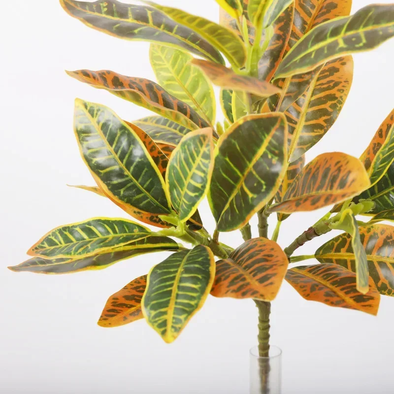 Plastic Artificial Color-chang – Dracaena Marginata recenzja i cena