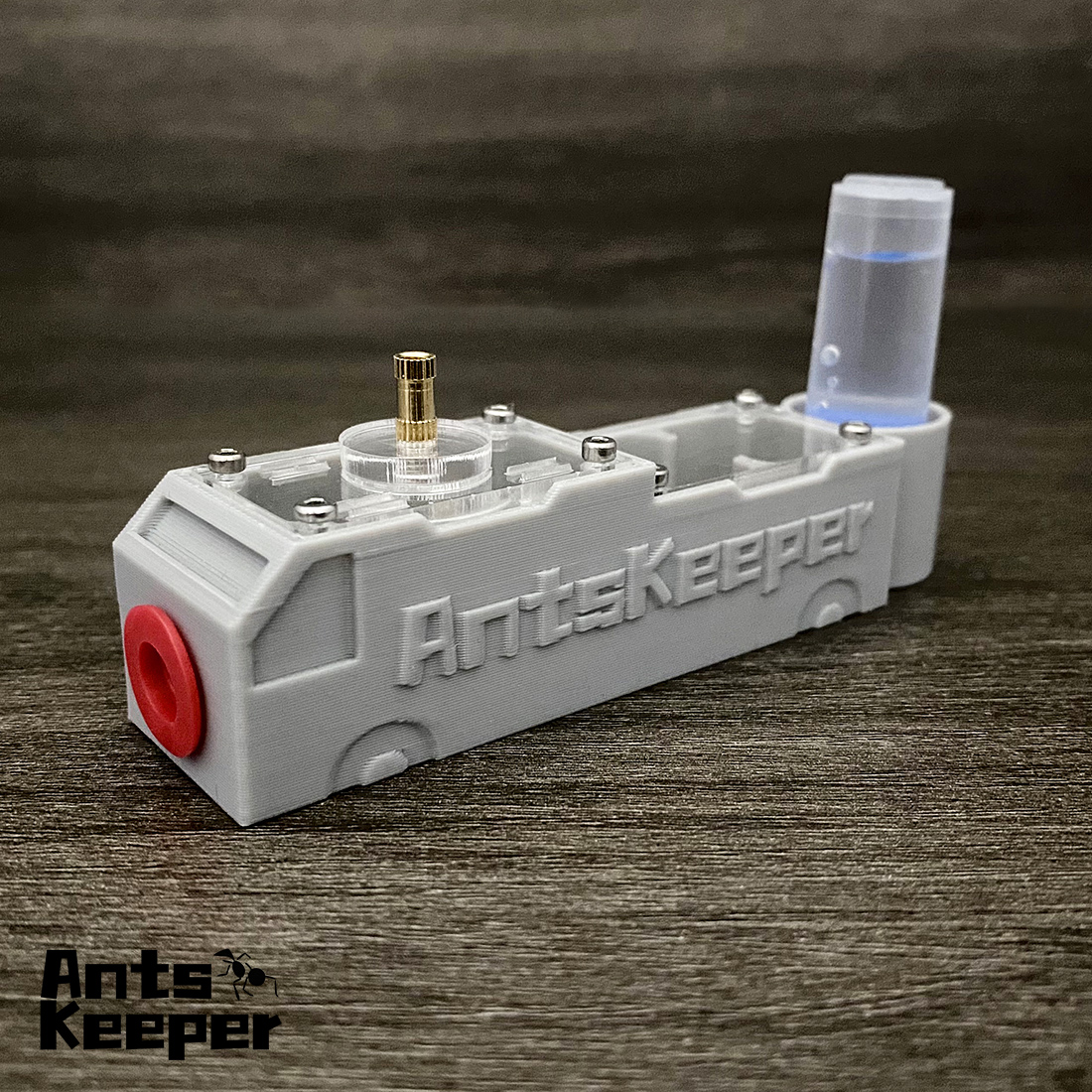【Truck】Ant Farm for Ants keepe – Begonia Rex recenzja i cena
